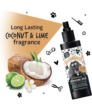 BUGALUGS Oatmeal Dog deodorant deodorising spray with Coconut & Lime scent dog perfume spray with odour neutraliser - vegan dog cologne dog grooming odour eliminator use with oatmeal shampoo Spray 200ml - Buy Online on GoSupps.com