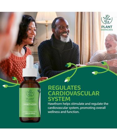 Plant Stem Cells Gemmotherapy Embryonic Hawthorn Buds | Supports Cardiovascular & Circulatory Health Blood Pressure & Healthy Cholesterol Levels for Men & Women* - Buy Online on GoSupps.com