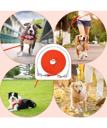 Waterproof Drag Line for Dogs - Chew-Proof Tie-Out Line (3-30m) | Robust Orange Dog Leash (10m) | Perfect for Large & Small Breeds - Buy Online on GoSupps.com
