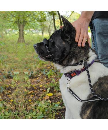 JACXO Figure of 8 Dog Lead With Padded Nose Loop - Anti Pull Dog Lead Stop Dog's Pulling - Strong Rope Slip Lead for Dogs with Soft Handle For Extra Comfort (185cm Black) Figure Of 8 lead / 185cm Black - Buy Online on GoSupps.com