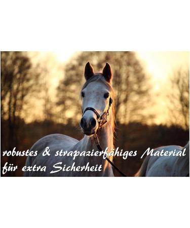 Stylish Lead Rope for Horses | Durable Tie Rope for Ponies Donkeys & Goats - 2x Turquoise Designs - Buy Online on GoSupps.com