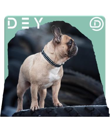 Dey Premium Reflective Dog Collar - Adjustable Nylon for Small & Large Dogs | Multiple Colors & Sizes | Perfect for Puppies & Cats - XS Pink 21-30 cm - Buy Online on GoSupps.com