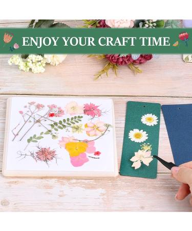 Aboofx Kids' Flower Press Kit - 4-Layer 6x6 Inch Wooden Leaf Press - Nature Art and Crafts DIY Kits for Girls & Boys - Creative Outdoor Play Learning Toy - Buy Online on GoSupps.com