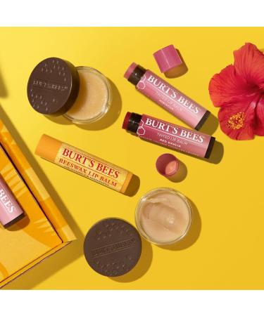 Burt's Bees Lip Care & Color Gifts Kit - Original Beeswax Moisturizing Lip Balm Hibiscus & Red Dahlia Tinted Stain + Balm Duos Conditioning Scrub & Overnight Sleeping Mask Exfoliator - Buy Online on GoSupps.com