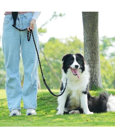 Buy Aystkniet 30m Bungee Dog Leash - Shock-Absorbing Reflective Lockable Hook - Perfect for Medium & Large Dogs - Buy Online on GoSupps.com