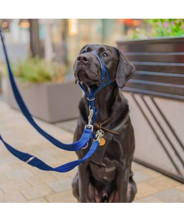 Halti Head Harness for Large Dogs - Stop Leash Pulling Comfortable & Padded Nose Strap Size 4 Cobalt Blue - International Shipping Available - Buy Online on GoSupps.com