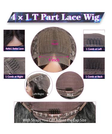 18 Inch Brazilian Straight Human Hair T Part Lace Front Wig for Black Women - MISSJAY - Buy Online on GoSupps.com
