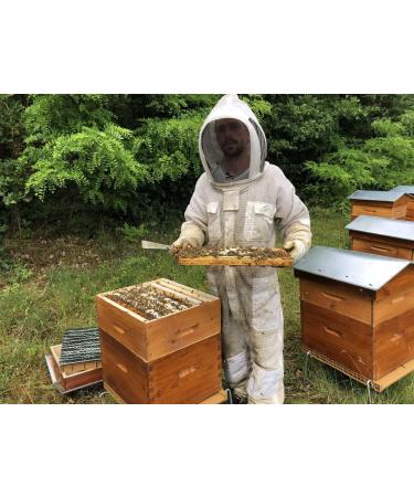 Fir Honey 100% Pure Raw Honey Real Premium 300g - Finest Quality - A Wide Variety of Delicious Flavors. - Buy Online on GoSupps.com