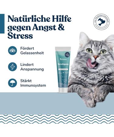 Felmo Calming Paste for Cats (100g) Stress Relief & Serenity Lactose-Free & Sugar-Free - Buy Online on GoSupps.com