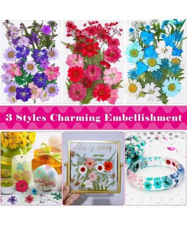 Thrilez 100Pcs Pressed Dried Flowers for Resin Molds - Natural Flower Herbs Kit for Scrapbooking, Card Making, Resin Jewelry, Soap & Candle Making (Blue Purple Red) - Buy Online on GoSupps.com