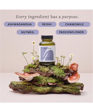 THE HERBTENDER Doze & Dream - Vegan Adaptogenic Wellness Supplements. Reishi Mushroom & Ashwagandha for Relaxation and Sleep (60 Capsule Pouch) - Buy Online on GoSupps.com
