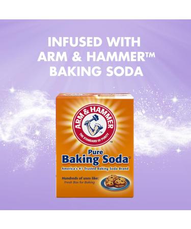 Arm & Hammer Clean & Simple Lavender Escape In-Wash Scent Booster 18oz (Pack of 4) - Buy Online on GoSupps.com