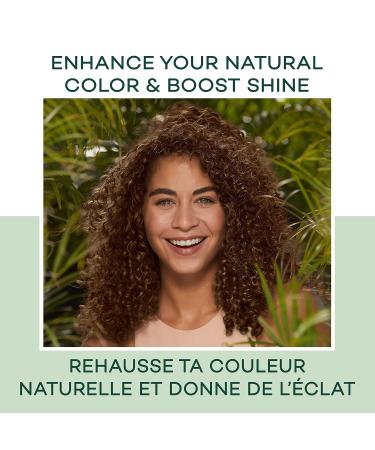 Clairol Natural Instincts 6C Light Brown Demi-Permanent Hair Dye - 5.85 Fl Oz - Buy Online on GoSupps.com