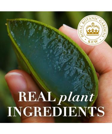 Herbal Essences Bio: Renew Mango + Potent Aloe Sulfate Free Shampoo for Curly Hair - 13.5 Fl oz | Buy Online & Ship Internationally - Buy Online on GoSupps.com
