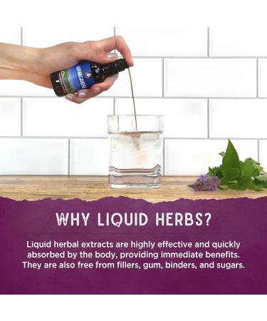 WishGarden Herbs Santa Ana Sniffles - Plant-Based Allergy Relief | Nettle Echinacea Yerba Santa & Horseradish | Soothe Allergy Discomfort & Sinus Congestion - 4oz - Buy Online on GoSupps.com