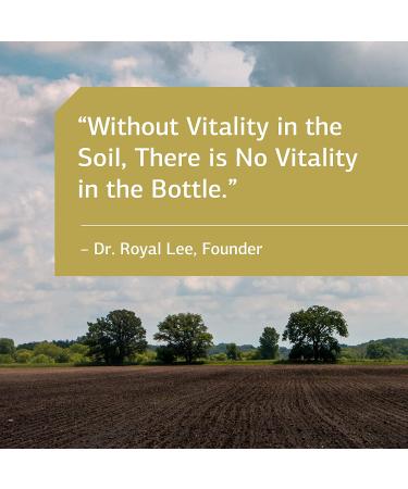 Standard Process Inositol: Nervous System & Heart Health Support - 90 Tablets - Buy Online on GoSupps.com