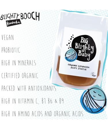 Big Blighty Baby - Kombucha Black Tea Starter SCOBY - 5L at Home - Certified Organic - Make Your Own - Blighty Booch Baby - Vegan Symbiotic Culture of Bacteria and Yeast with Starter Fluid - Buy Online on GoSupps.com