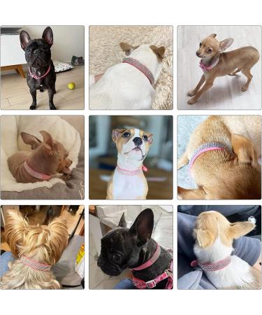 TSKDKIT Puppy Collar for Cat Small Dog Collar Cute Rhinestone Pet Collar Sparkling Cat Collar Soft Leather Pet Collar(M Pink) - Buy Online on GoSupps.com