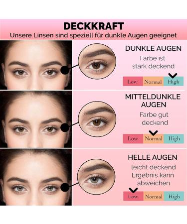 Bella 1-Day Colored Contact Lenses in Ash Brown - Natural Anthracite Color for Dark Eyes Dioptre -0.00 10x Daily Lenses - Buy Online on GoSupps.com