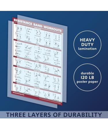 17 Pack Exercise Poster Set - Laminated Workout Posters for Dumbbell Yoga Resistance Training & More (45.7 x 61 cm) - Ideal for Fitness Enthusiasts - Buy Online on GoSupps.com