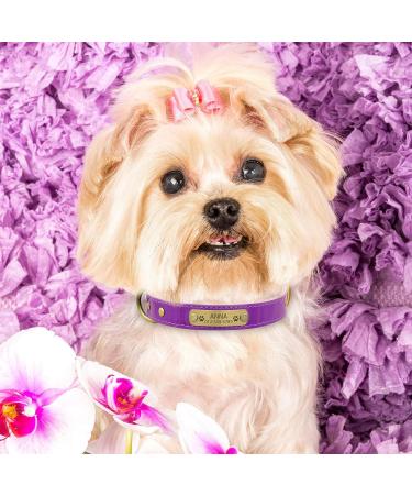 Senristar Personalized Leather Dog Collar with Engraved Name Tag | Durable & Stylish for Small Medium & Large Dogs - S Size (Violet) - Buy Online on GoSupps.com