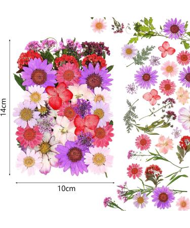 Dried Pressed Flower Leaves Set with Tweezers - 110 Assorted Natural Daisy Flowers for DIY Crafts & Decorations - Buy Online on GoSupps.com