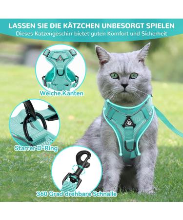 Adjustable Cat Dishes Set Mint Green | Perfect for Cats & Kittens | International Shipping Available - Buy Online on GoSupps.com