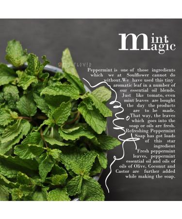 Soulflower Pure Peppermint Essential Oil - Premium Quality for Hair & Skin Care - 1 Fl Oz (Pack of 1) - Buy Online on GoSupps.com