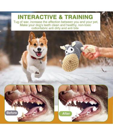 Aeitpet Plush Dog Toys for Large & Small Dogs - Squeaky Cuddly Toys with Crinkle Paper - Perfect Puppy Gifts - Buy Online on GoSupps.com