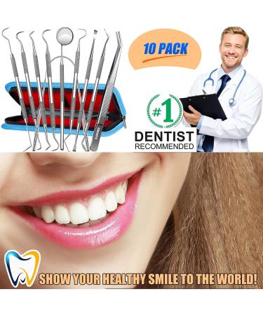 10 Pack Dental Tools Set - Professional Stainless Steel Plaque Remover & Oral Care Kit - Buy Online on GoSupps.com