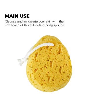 Jacent Deep Cleaning Sea Foam Bath and Body Sponge - 1-Pack - Buy Online on GoSupps.com