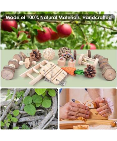ERKOON Hamster Chew Toys 13 Pack Gerbil Toys Natural Wooden Small Animal Toys Teeth Care Molar Toy Boredom Breaker Treats Dumbbells Exercise Bell Roller for Rat Guinea Pig Chinchilla Rabbits - Buy Online on GoSupps.com