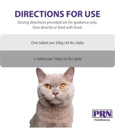 PRN Pharmacal CranMate Cranberry Supplement - Chewable Cranberry Extract Nutritional Supplements for Dogs & Cats - 60 Chew Tabs (3 Pack) - Buy Online on GoSupps.com
