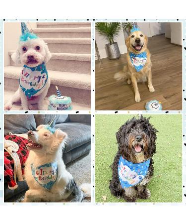EXPAWLORER Dog Birthday Bandana Set - Cute Hat and Squeaky Cake Toy | Birthday Party Supplies Gift for Small Medium Large Dogs - Buy Online on GoSupps.com