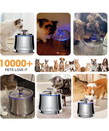 Stainless Steel Cat Water Fountain 2.5L - BPA-Free, Flower Mode, Automatic, USB Adapter - Metal Cat Fountain with Clean Brush & Cloth Filter - Buy Online on GoSupps.com