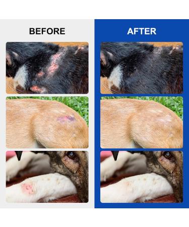 Wound Spray for Pets | Itch Relief for Sensitive Skin | Wound and Skin Care for Dogs & Cats or Other Pets | Helps with Rashes Hot Spots Scratching Itch Skin Irritation Bites & Burns - Buy Online on GoSupps.com