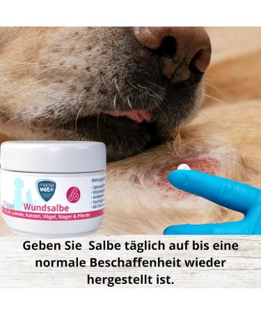 Marsavet+ 30ml Wound Ointment for Dogs Cats Birds & More | Zinc Propolis Hyaluron & D-Panthenol - Healing & Skin Infection Prevention - Buy Online on GoSupps.com