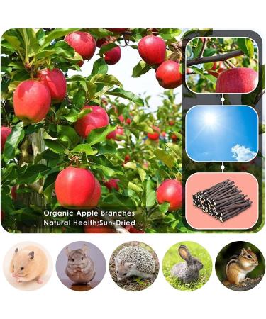 ERKOON Apple Sticks Small Animals Molar Hamster Rabbit Chew Toys Natural Treats Wood Toys Chinchillas Hamsters Bunny Guinea Pigs Cavia Cobaya Parrot (500G) 1 g (Pack of 1) - Buy Online on GoSupps.com
