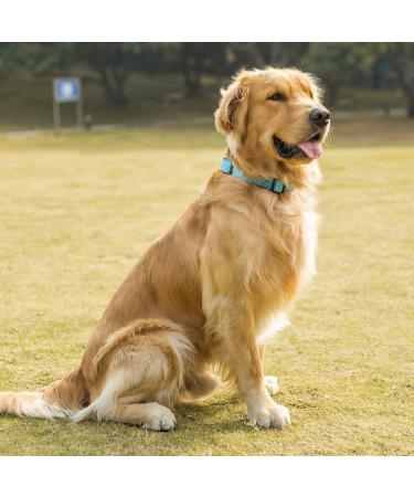 Shop Adjustable Heavy-Duty Martingale Dog Collars - Soft & Smooth for Large Dogs - Sky Blue 2.5cm Wide - International Shipping Available - Buy Online on GoSupps.com