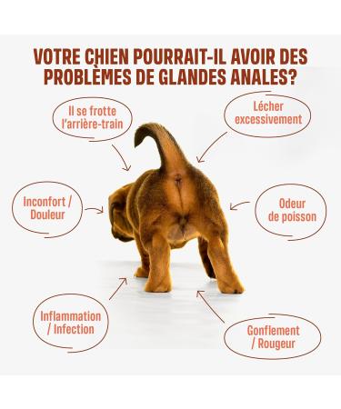 ivvi Anal Gland - Snacks to Support Dogs' Anal Gland Health. Contains Pumpkin Psyllium Flax Dandelion Nettle and Prebiotics. 60 Snacks (270g) with Peanut Butter Base. - Buy Online on GoSupps.com