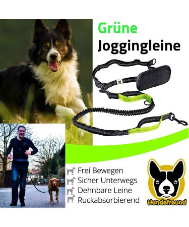 Elastic Reflective Jogging Leash - 120 cm with Adjustable Hip Strap & Bag for Hands-Free Walking Hiking & Running - Up to 200 cm Stretch - Buy Online on GoSupps.com