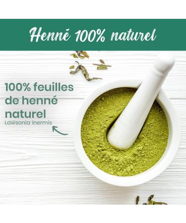 Natural Henna Powder 100G AAA+ Quality Natural Hair Coloring Auburn and Copper - Provides Care Shine and Volume - for Hand Tattoo | Resealable Packaging - Buy Online on GoSupps.com