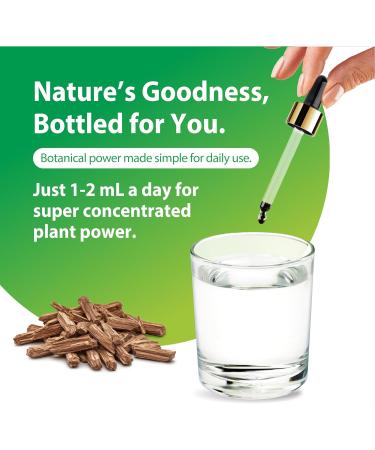 Rainbow Light Super Yohimbe Extract | 2 Fl Oz | Fast Acting Power Packed Formula | Alcohol Free | Non-GMO and Gluten Free Herbal Supplement | for Men and Women - Buy Online on GoSupps.com