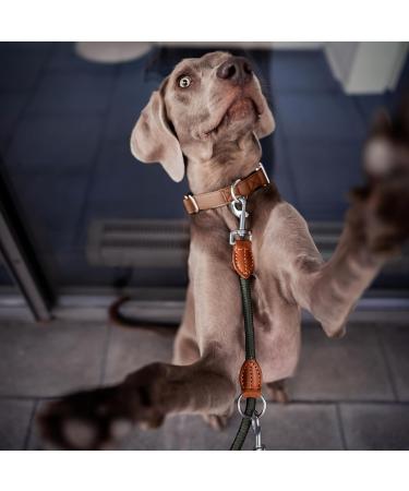 Freudenier Dog Leash for Large Dogs - 2m 3-Fold Durable Nylon with Stylish Brown Leather | Forest Green - Buy Online on GoSupps.com