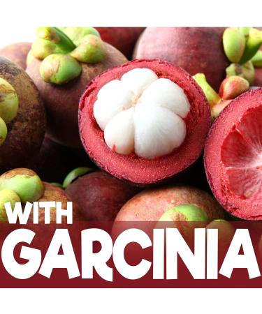 L Carnitine Liquid Extra Strength 5000mg | 32 fl oz (32 Servings) with Garcinia Cambogia and Artichoke Grape Flavor | Nutrition Greenlife - Buy Online on GoSupps.com