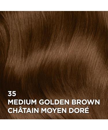 L Or al Paris Superior Preference 9 weeks of Luminous Fade-Defying Permanent Hair Dye 35 Medium Golden Brown 100% Grey Coverage 1 Hair Dye Kit (Packaging May Vary) 1 Count ( Pack Of 1 ) Medium Golden Brown - Buy Online on GoSupps.com