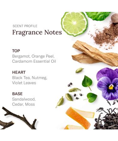 Stetson Off-Road - Heavy Duty Deodorant - 3 Pack Black Tea - Buy Online on GoSupps.com