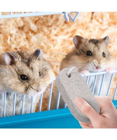 STOBOK 2 Pcs Pet Teeth Grinding Stone Calcium Mineral Stone for Mouse Rabbit Squirrel Hamster Small Pets - Buy Online on GoSupps.com
