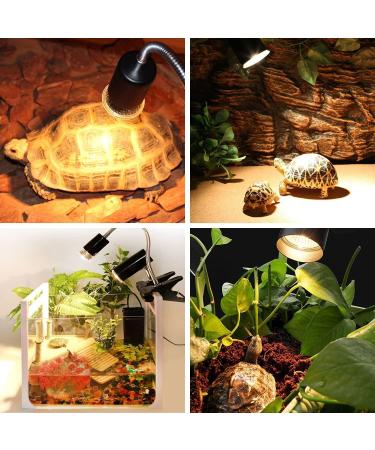 Shengruili Turtle Heat Lamp | 25W & 50W Reptile Terrarium Light for Turtles | Optimal Heating Solution for Reptiles - Buy Online on GoSupps.com