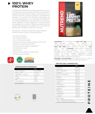 Nutrend 100% Whey Protein Vanilla - Premium 1000g | International Shipping Available - Buy Online on GoSupps.com